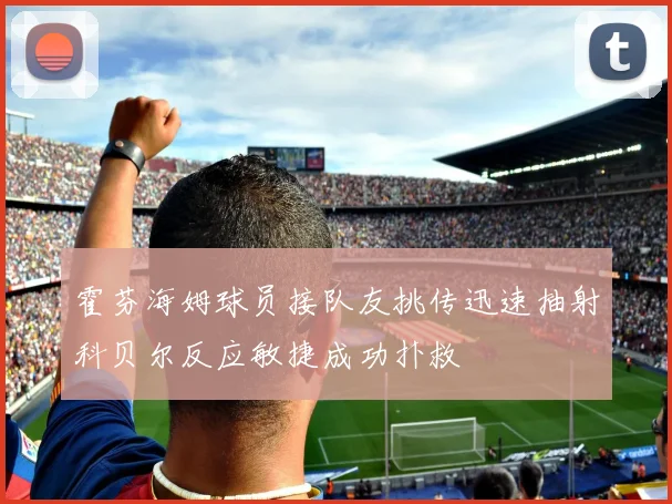 霍芬海姆球员接队友挑传迅速抽射科贝尔反应敏捷成功扑救