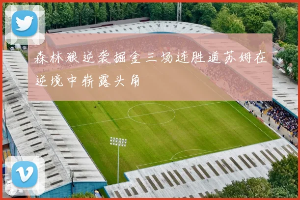 森林狼逆袭掘金三场连胜道苏姆在逆境中崭露头角
